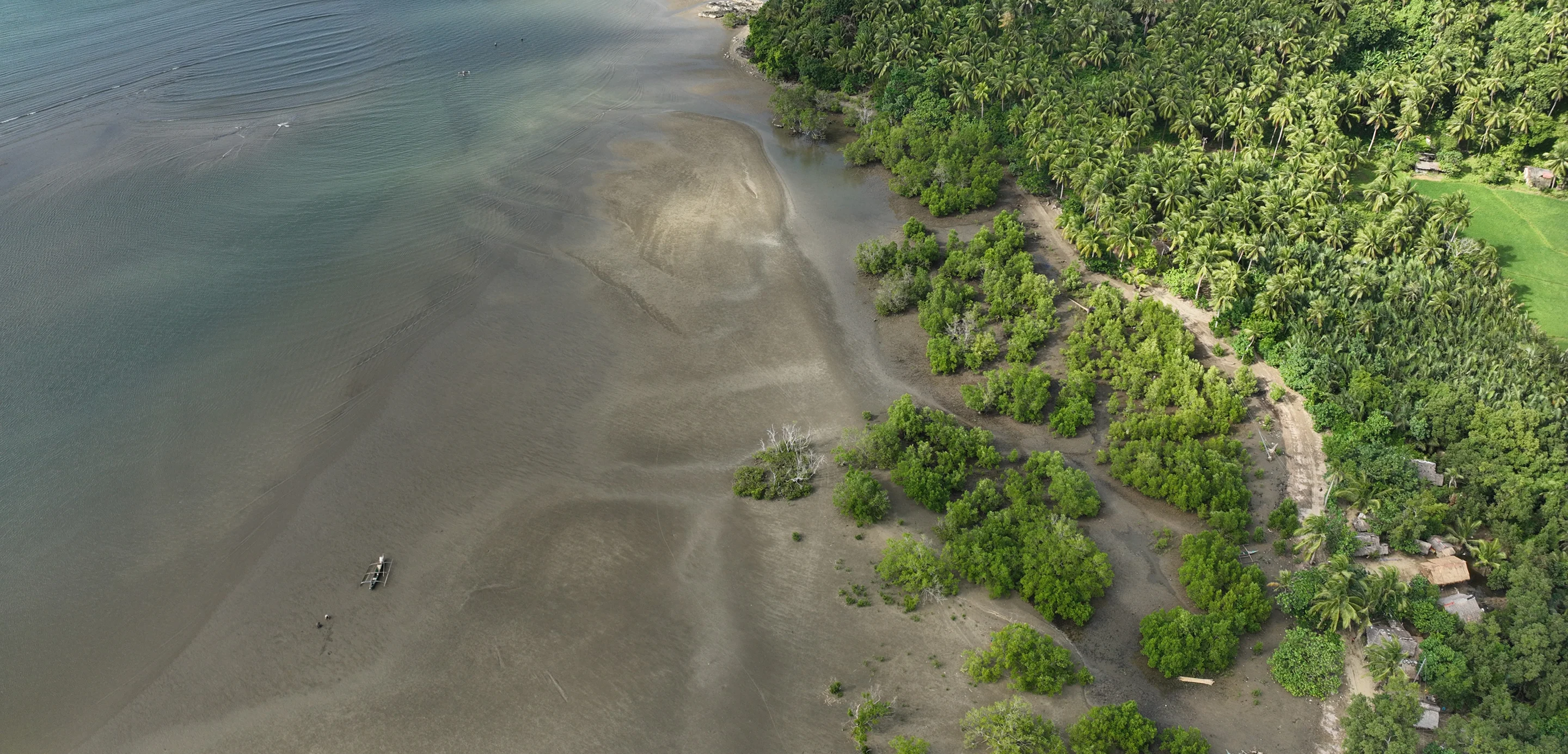 Aerial view of a coastal mangrove forest with shallow blue-green water and patches of sand.