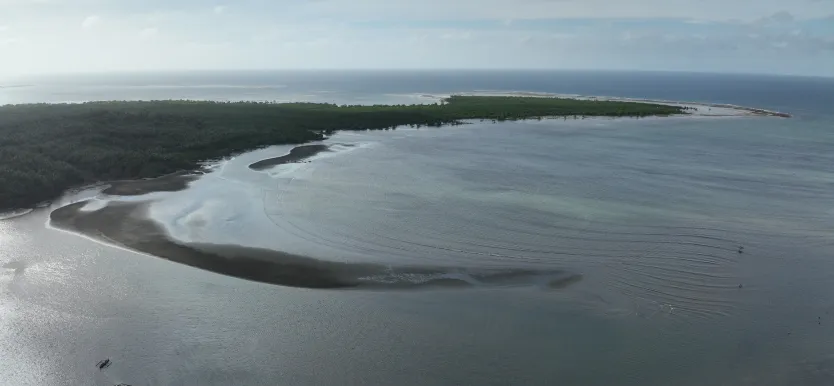 Aerial view of a curved coastal shoreline with dense green vegetation and calm blue ocean waters.