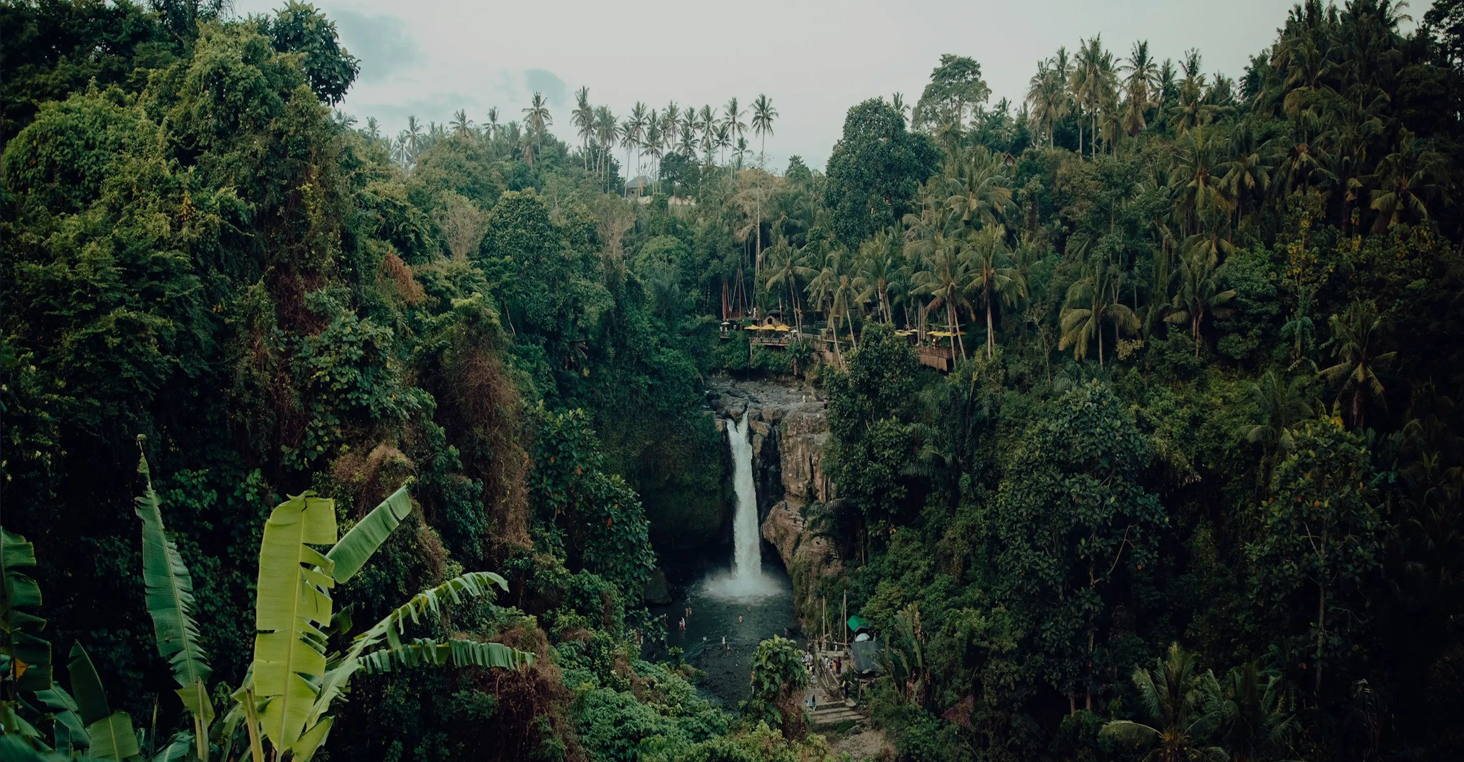 Dense tropical forest surrounding a tall waterfall flowing into a pool with people nearby.