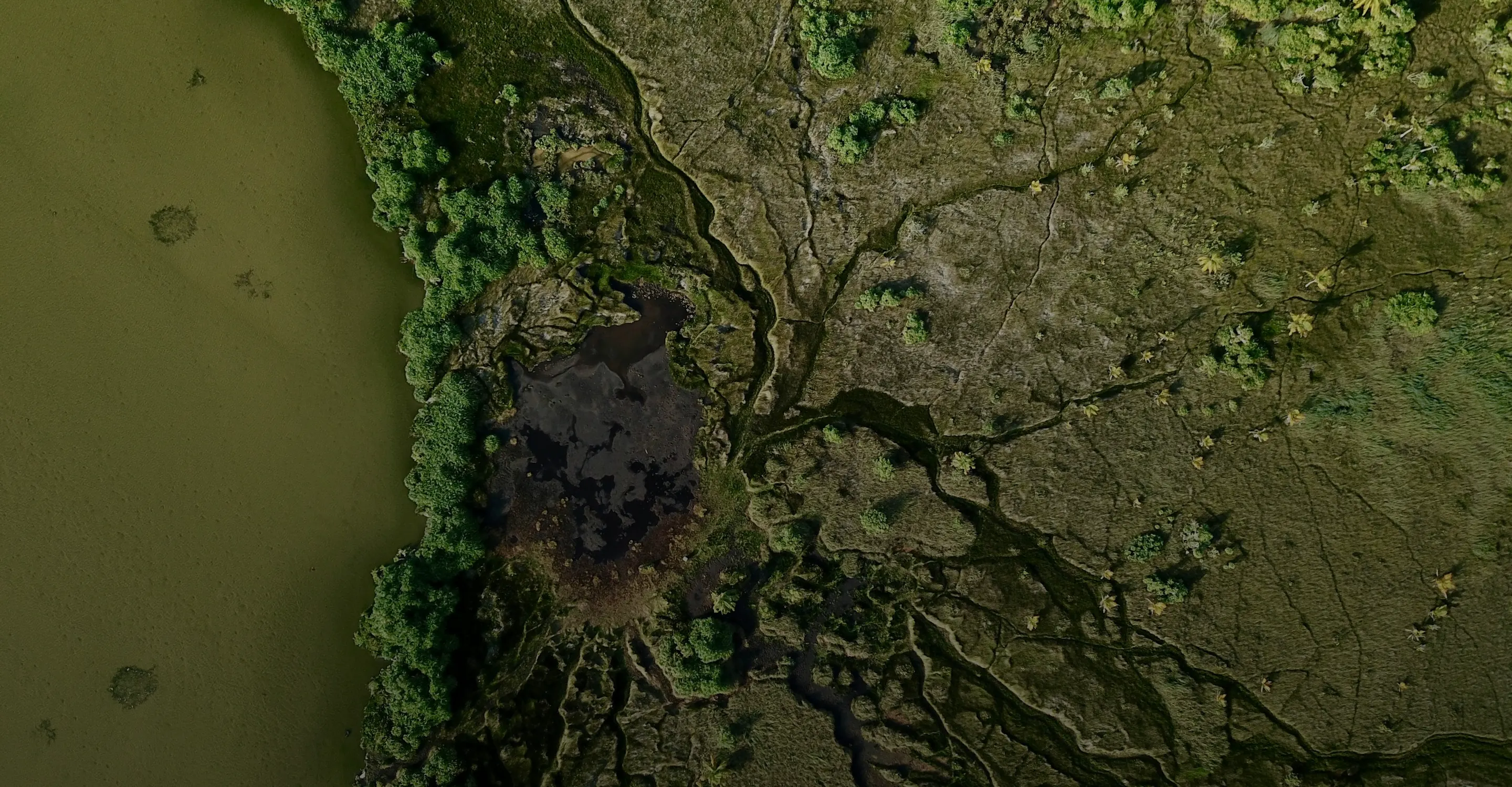 Aerial view of a wetland area with water channels, green vegetation, and muddy terrain.