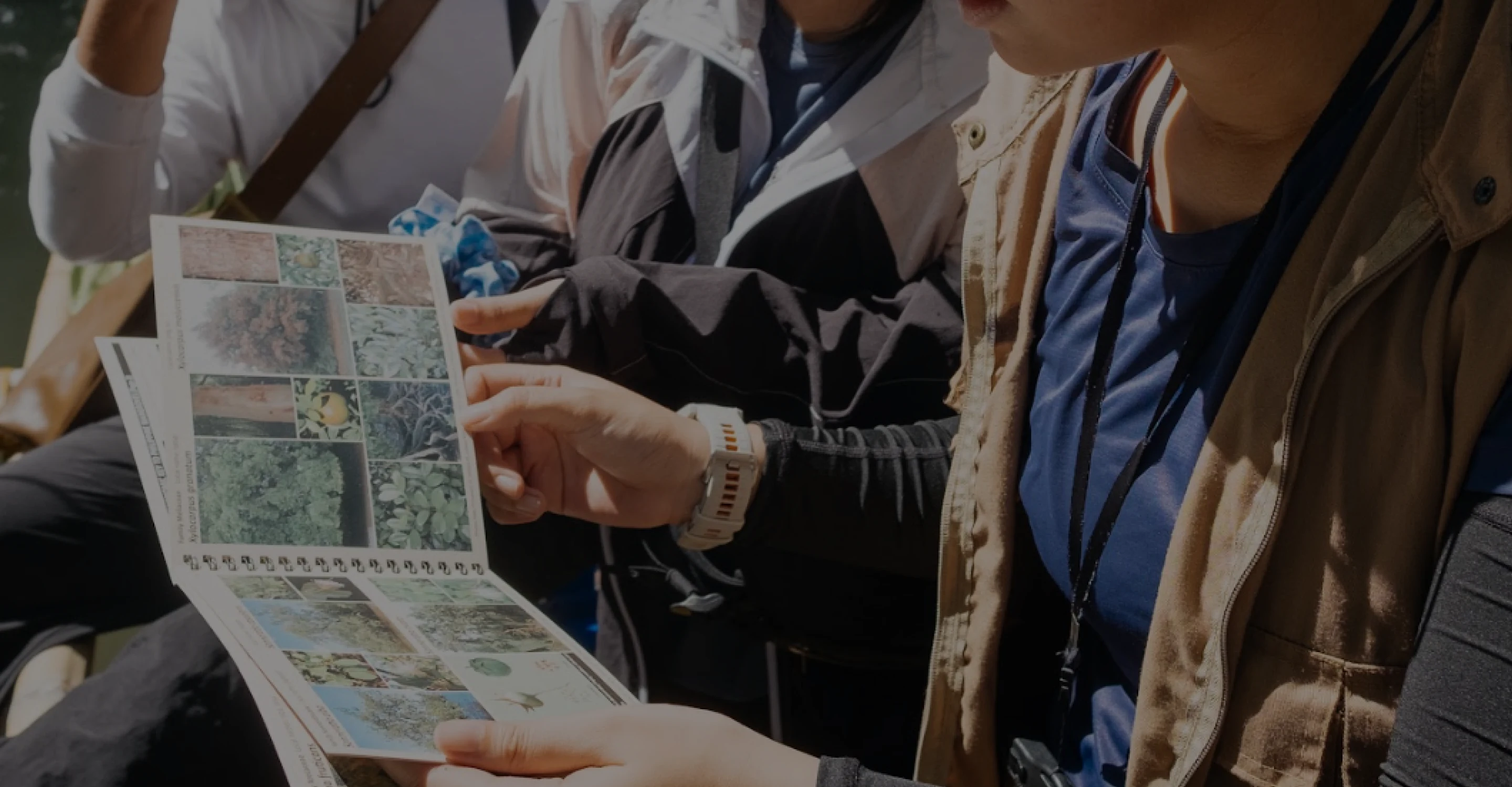 Two people outdoors examining a booklet with images of plants and trees.