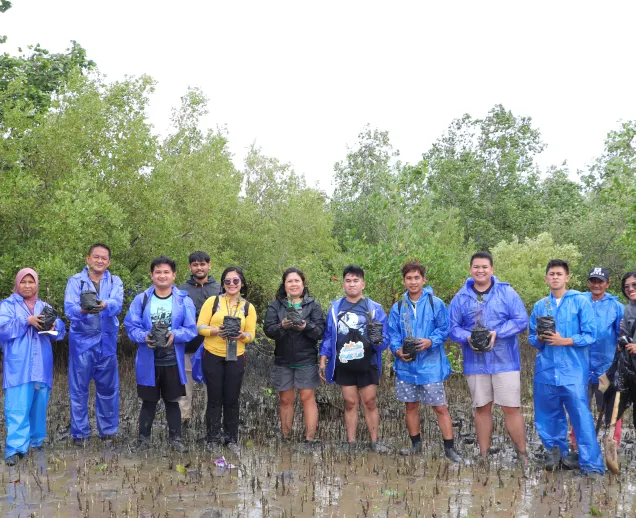 Group of people standing in muddy water holding small mangrove plants for planting.