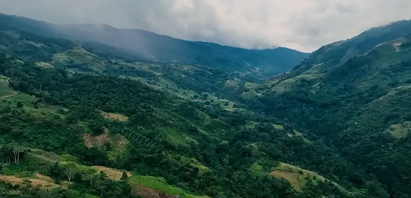 Forested ridges and cleared slopes in a Bukidnon valley